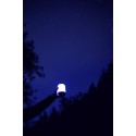 Φανάρι LED Biolite AlpenGlow Lantern 250