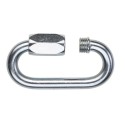 Carabiner Salewa Maillon Rapide