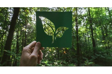 Eco-Friendly συμβουλές για camping
