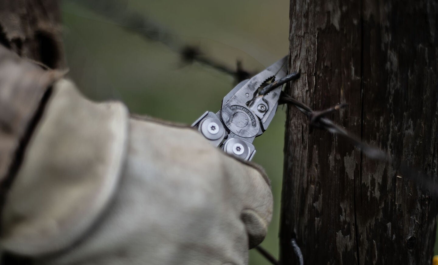 Πολυεργαλείο Leatherman SURGE + Molle Θήκη | www.lightgear.gr