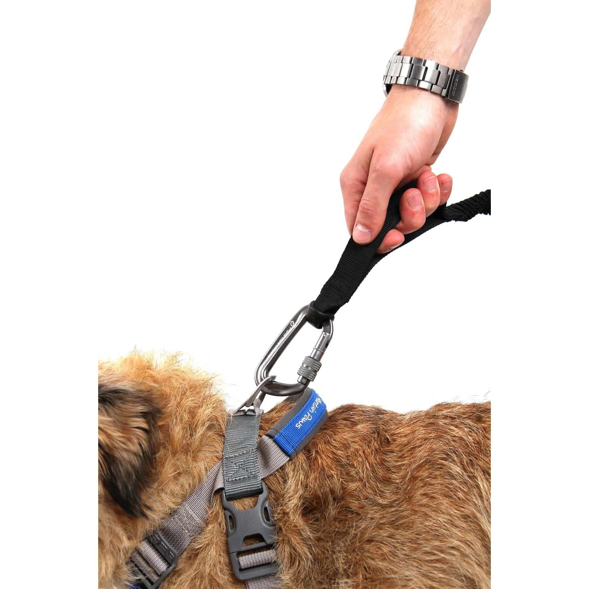 Λουρί Mountain Paws Shock Absorber 130cm Μαύρο | www.lightgear.gr
