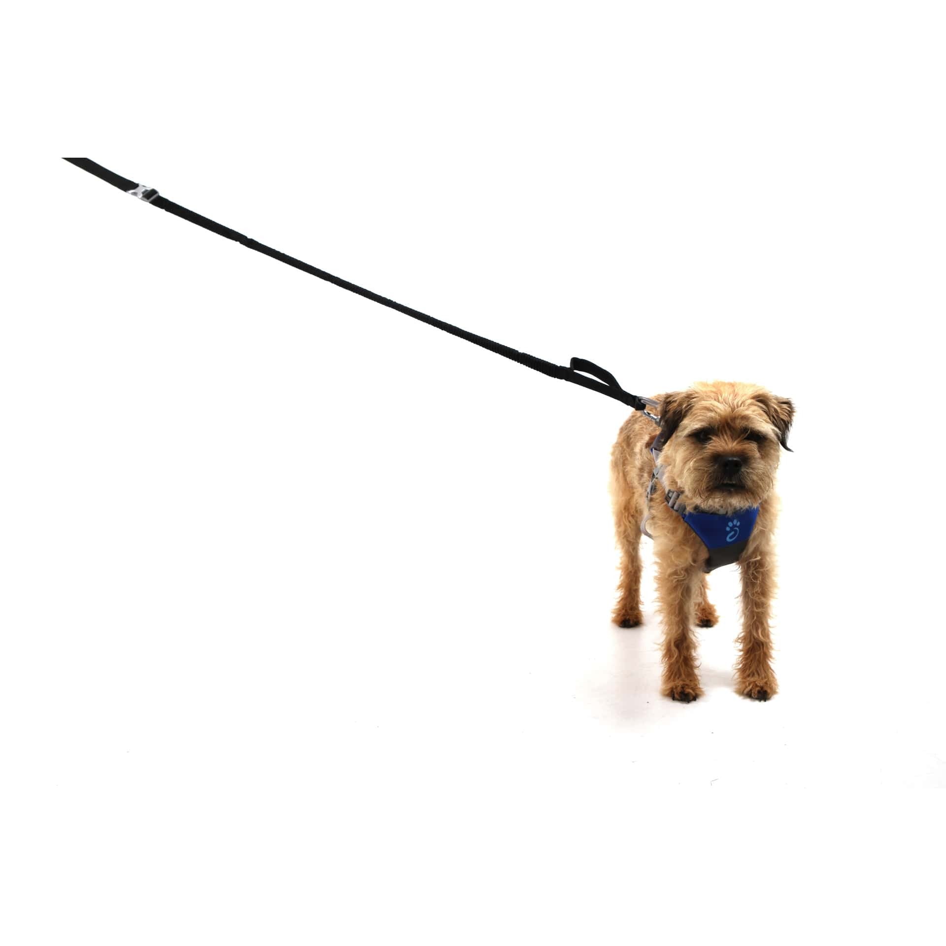 Λουρί Mountain Paws Shock Absorber 130cm Μαύρο | www.lightgear.gr