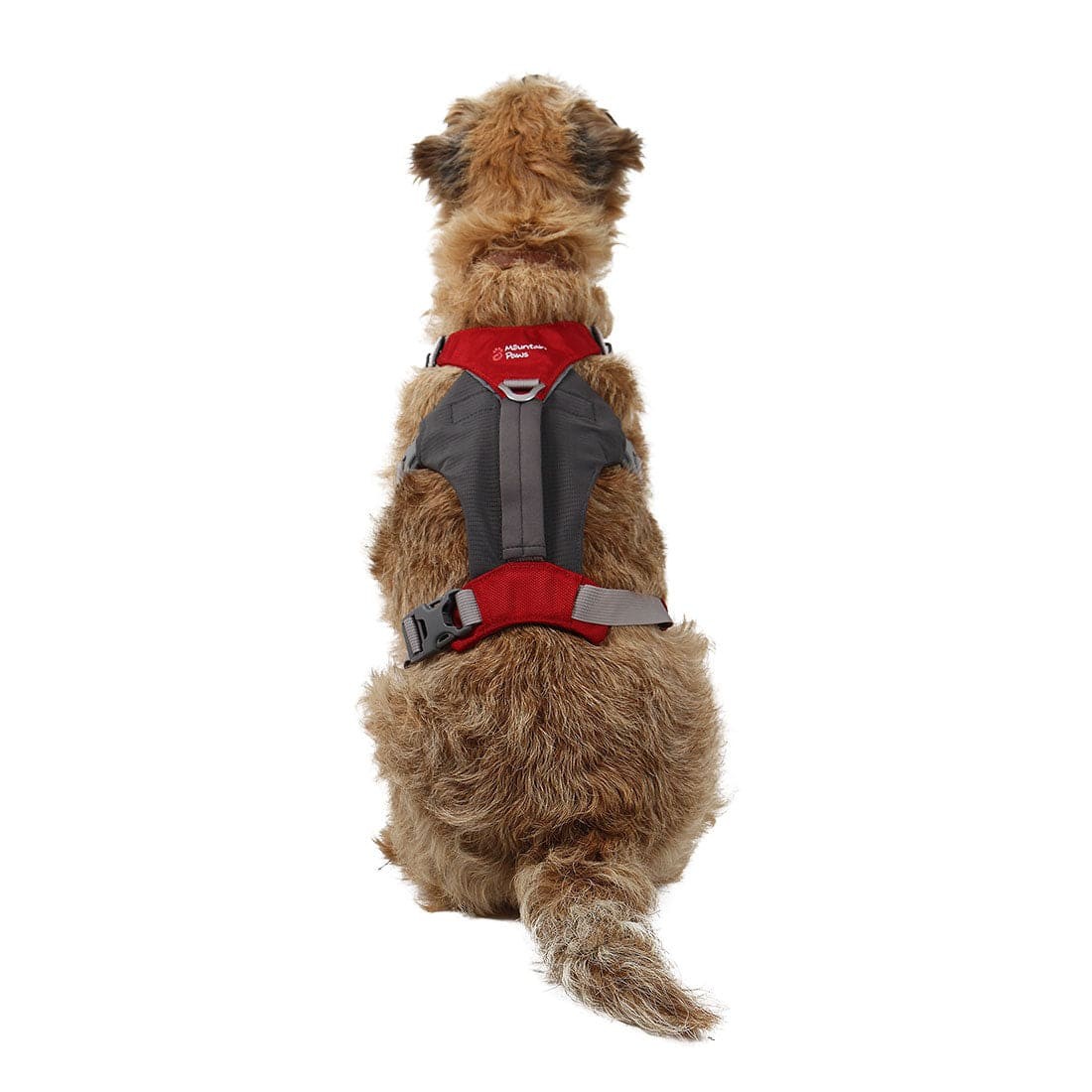 Σαμαράκι Σκύλου Mountain Paws Hiking | www.lightgear.gr