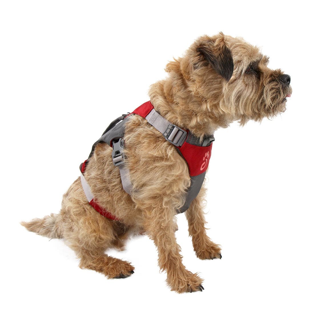 Σαμαράκι Σκύλου Mountain Paws Hiking | www.lightgear.gr