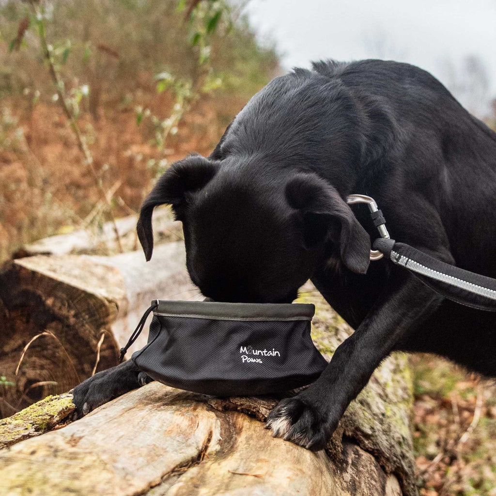 Δοχείο Φαγητού για Κατοικίδια Ζώα Mountain Paws 1450ml | www.lightgear.gr