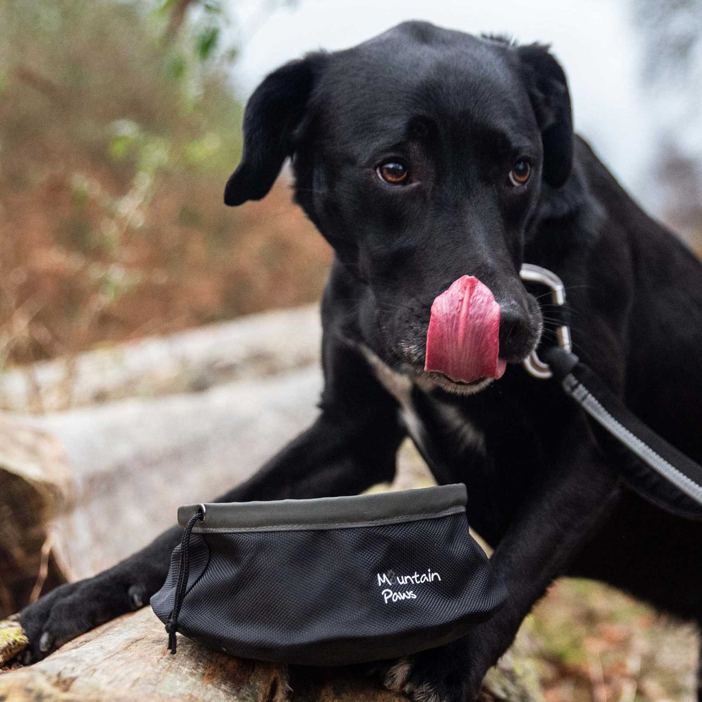 Δοχείο Φαγητού για Κατοικίδια Ζώα Mountain Paws 1450ml | www.lightgear.gr