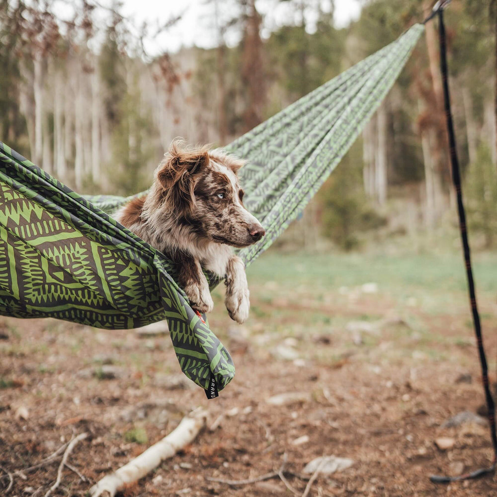 Διπλή Αιώρα Grand Trunk TrunkTech (green mamba) | www.lightgear.gr