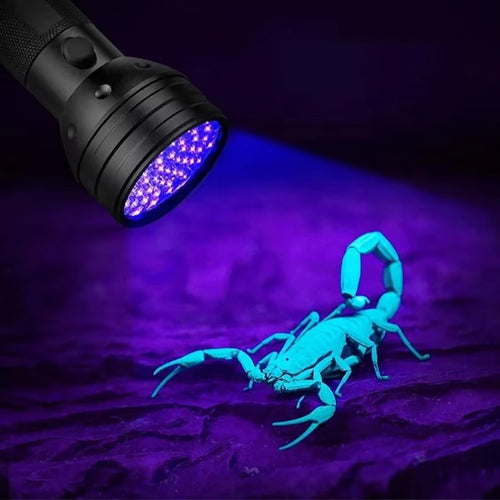 Φακός Χειρός UV Wozinsky WLT-51L με 51 LED IP65 για Εντοπισμό Ιχνών - Μαύρος