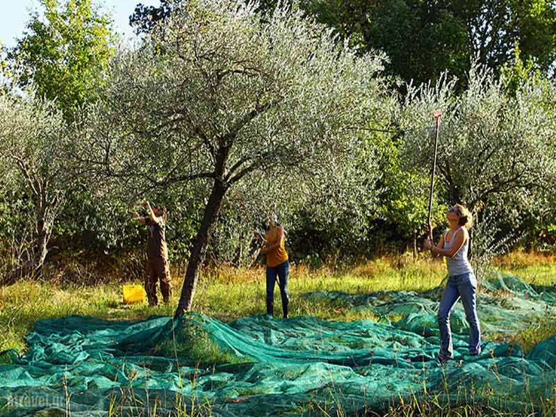 Είστε τουρίστας, οικοτουρίστας ή αγροτουρίστας; 5 απλές ερωτήσεις θα το αποκαλύψουν! | lightgear.gr