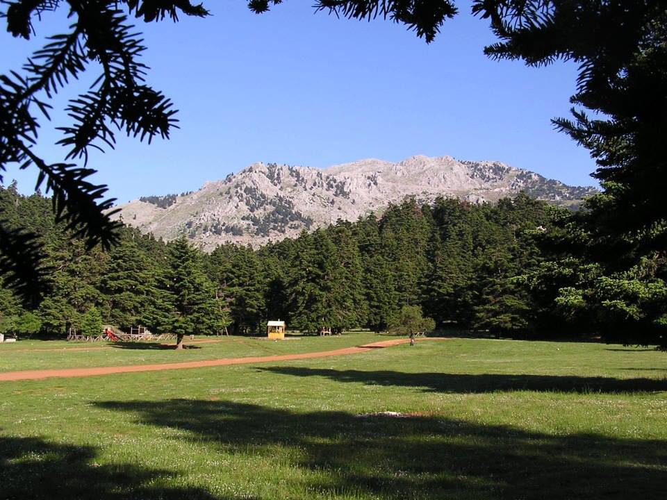 Το πανέμορφο οροπέδιο στο δάσος της Αρβανίτσας | www.lightgear.gr