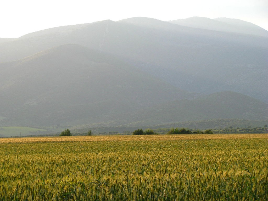 Πανοραμική άποψη του όρους Πάικο δίπλα σε πολύ χρωμο λιβάδι | www.lightgear.gr